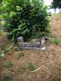 image of grave number 507550